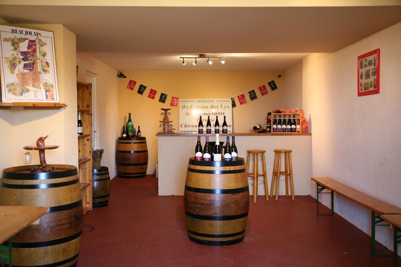 ホテル Domaine Du Coteau Des Lys フルーリー エクステリア 写真