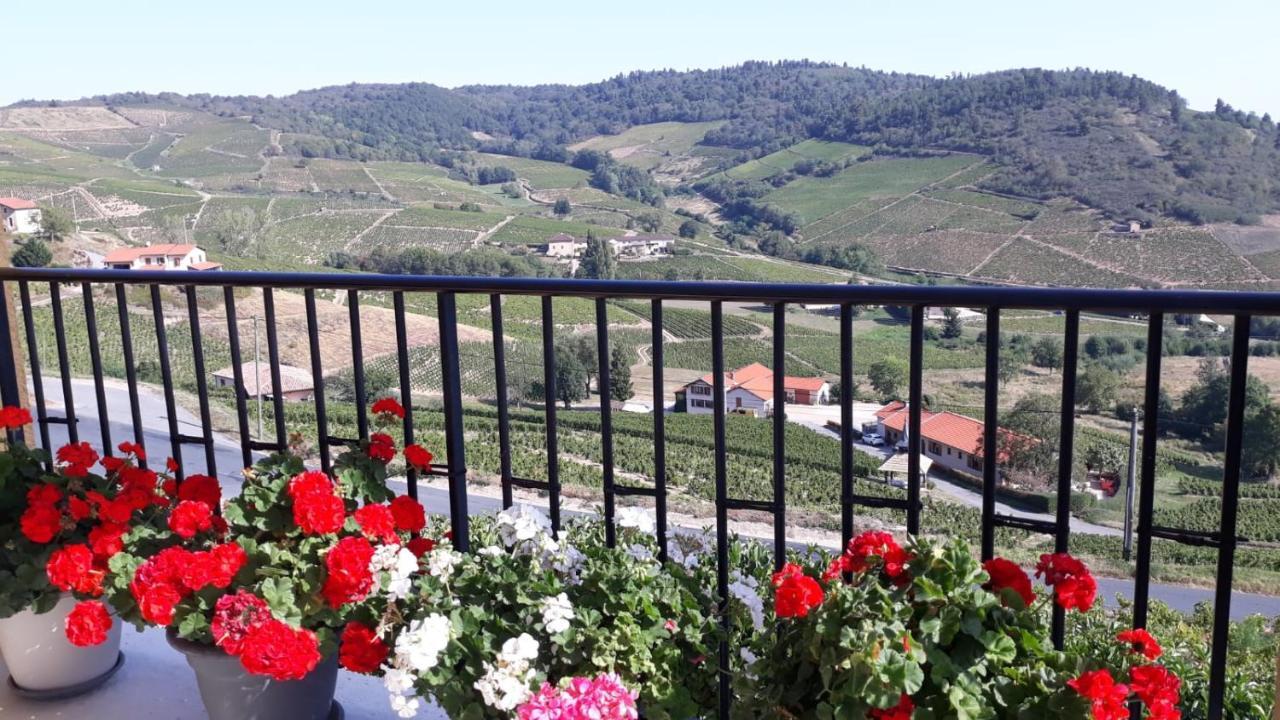 ホテル Domaine Du Coteau Des Lys フルーリー エクステリア 写真